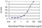 HTR1E Antibody in ELISA (ELISA)