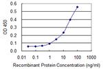 ICT1 Antibody in ELISA (ELISA)