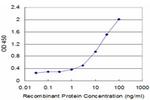 ID1 Antibody in ELISA (ELISA)