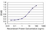 ID1 Antibody in ELISA (ELISA)