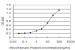 ID2 Antibody in ELISA (ELISA)