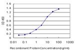 IFI35 Antibody in ELISA (ELISA)