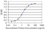 IFIT3 Antibody in ELISA (ELISA)