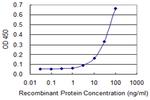 IFNAR1 Antibody in ELISA (ELISA)