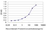 IKBKB Antibody in ELISA (ELISA)