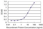 IL1A Antibody in ELISA (ELISA)