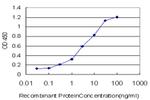 IL8 Antibody in ELISA (ELISA)