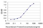 IL8 Antibody in ELISA (ELISA)