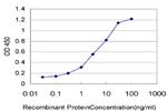 IL8 Antibody in ELISA (ELISA)