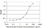 IL11 Antibody in ELISA (ELISA)