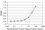 IL12RB2 Antibody in ELISA (ELISA)