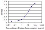 IL15RA Antibody in ELISA (ELISA)