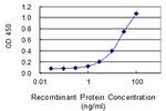 IRAK2 Antibody in ELISA (ELISA)