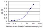 ISL1 Antibody in ELISA (ELISA)