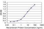 JAG2 Antibody in ELISA (ELISA)