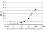 KAL1 Antibody in ELISA (ELISA)