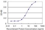 KCNA1 Antibody in ELISA (ELISA)