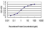 KCNA3 Antibody in ELISA (ELISA)