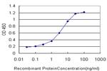 KDR Antibody in ELISA (ELISA)