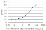 KDR Antibody in ELISA (ELISA)