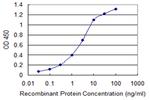 KIT Antibody in ELISA (ELISA)