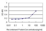 KRAS Antibody in ELISA (ELISA)