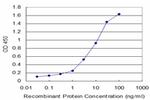 LAD1 Antibody in ELISA (ELISA)