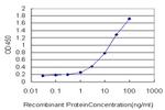 LAMC1 Antibody in ELISA (ELISA)