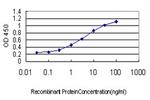 LEP Antibody in ELISA (ELISA)