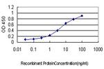 LEP Antibody in ELISA (ELISA)