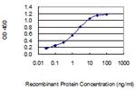 LGALS7 Antibody in ELISA (ELISA)