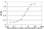 LIFR Antibody in ELISA (ELISA)