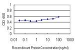 LIPA Antibody in ELISA (ELISA)