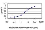 LLGL1 Antibody in ELISA (ELISA)