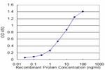 NBR1 Antibody in ELISA (ELISA)