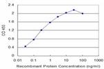 NBR1 Antibody in ELISA (ELISA)