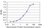 NBR1 Antibody in ELISA (ELISA)