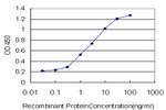 SMAD3 Antibody in ELISA (ELISA)