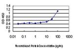 SMAD3 Antibody in ELISA (ELISA)