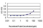 SMAD4 Antibody in ELISA (ELISA)