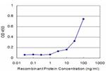 MAZ Antibody in ELISA (ELISA)