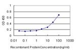 ME1 Antibody in ELISA (ELISA)