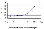 ME1 Antibody in ELISA (ELISA)