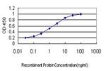 MAP3K4 Antibody in ELISA (ELISA)