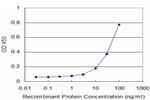 MEOX2 Antibody in ELISA (ELISA)