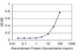 MEOX2 Antibody in ELISA (ELISA)