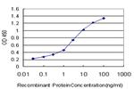 MFGE8 Antibody in ELISA (ELISA)