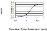 SCGB2A2 Antibody in ELISA (ELISA)