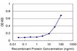 MLLT3 Antibody in ELISA (ELISA)