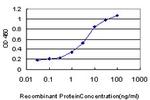 MPG Antibody in ELISA (ELISA)